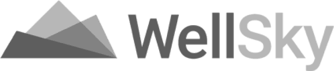 WellSky
